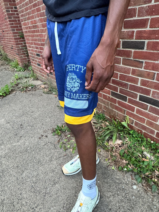 Double Layer Mesh Shorts